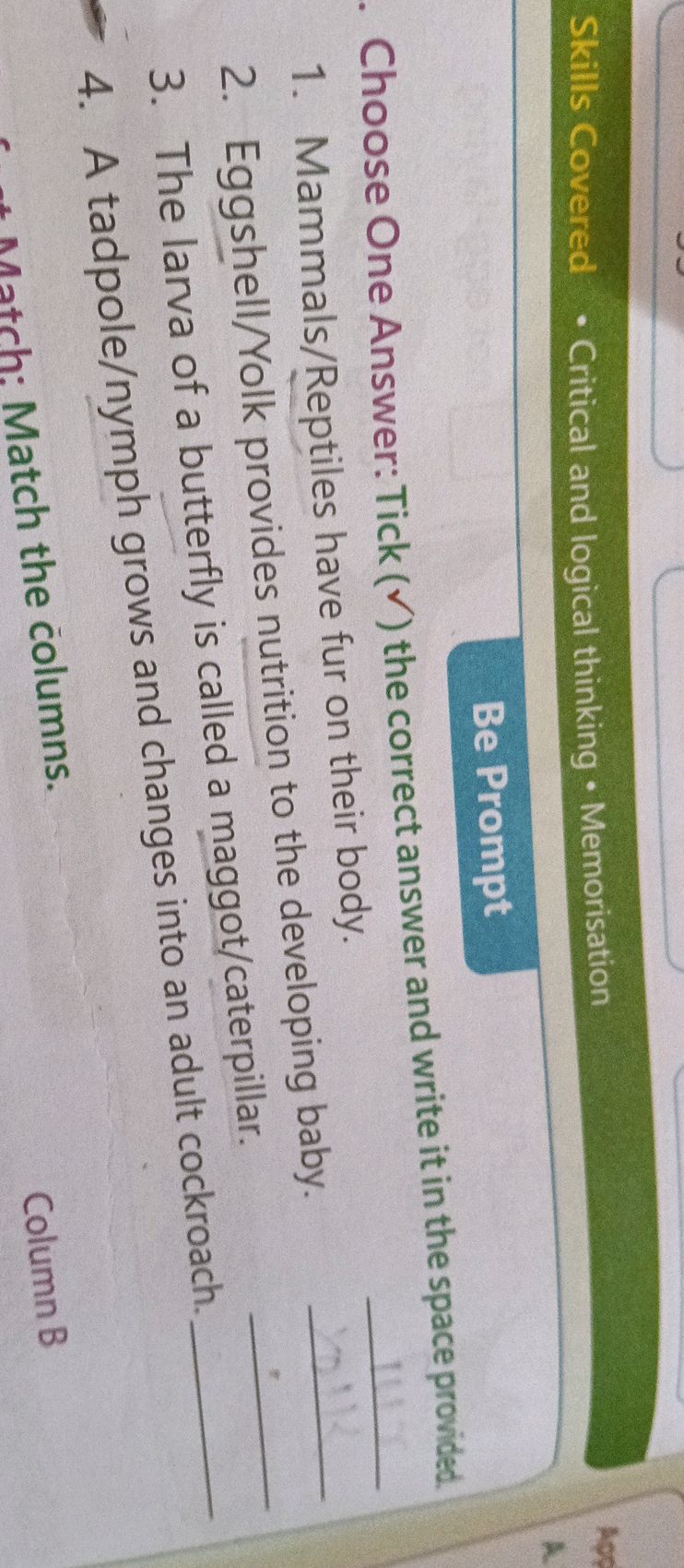 Choose One Answer: Tick ( ) the correct | StudyX