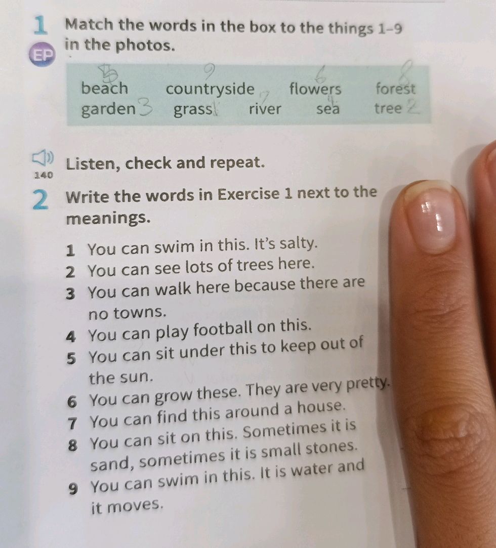 1 Match the words in the box to the things | StudyX