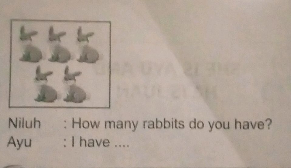 Niluh : How many rabbits do you have? Ayu : | StudyX