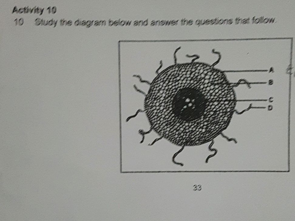 Study the diagram below and answer the | StudyX
