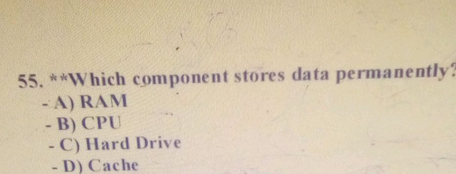 Which component stores data permanently?