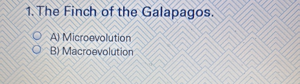 1. The Finch of the Galapagos. A) | StudyX