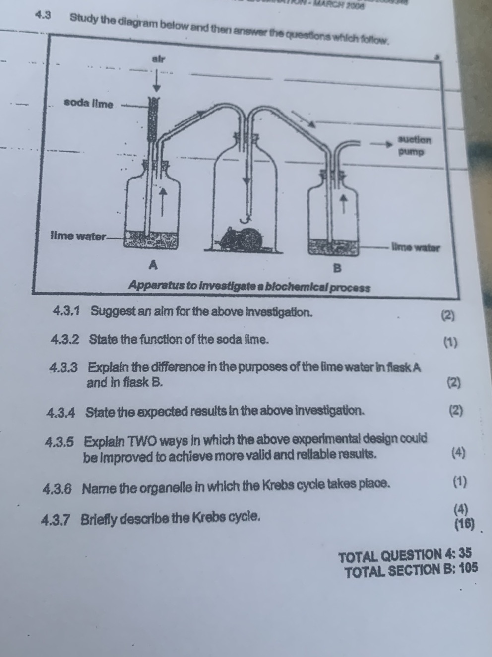 4.3 Study the diagram below and then answer | StudyX