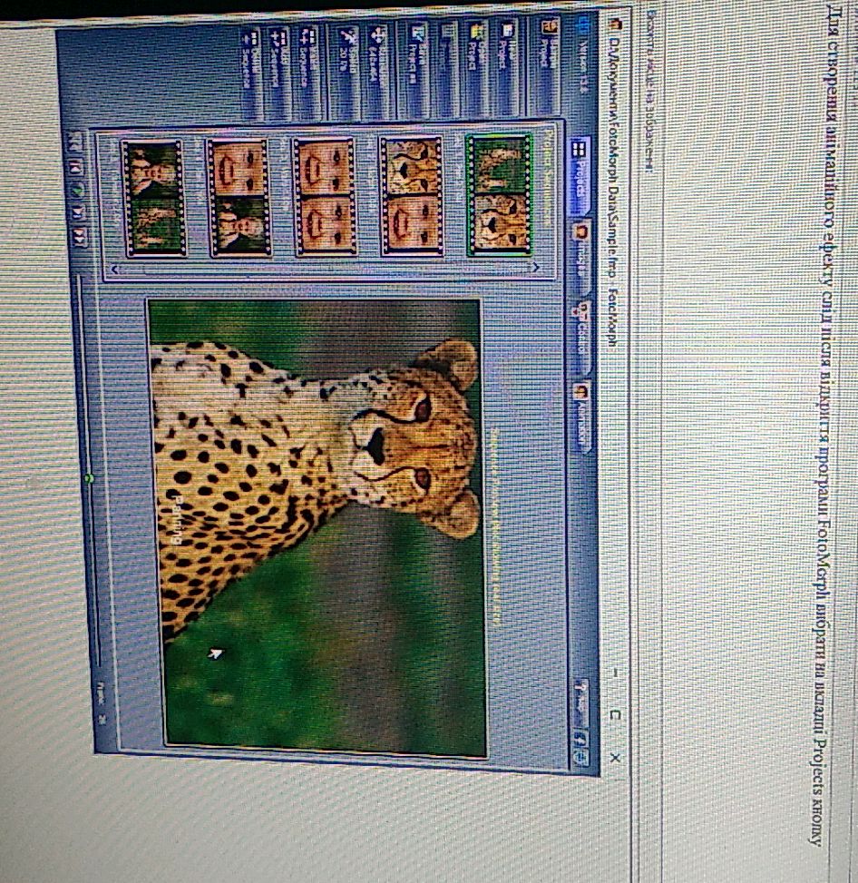 Для створення анімаційного ефекту слід після | StudyX