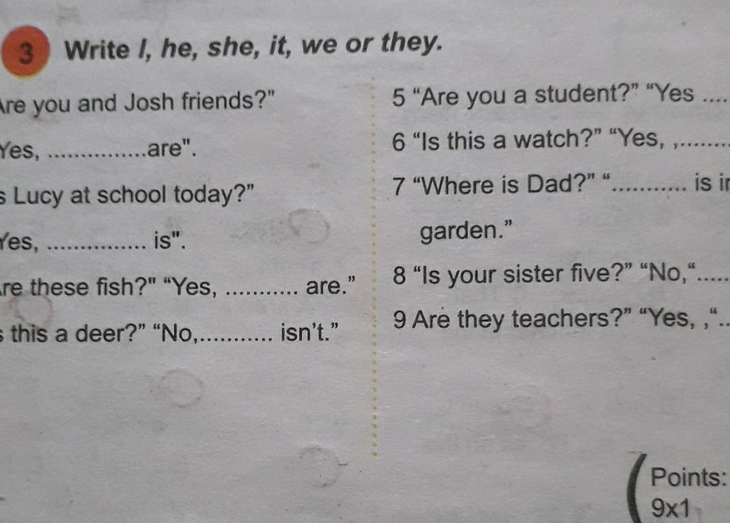 3 Write I, he, she, it, we or they. 