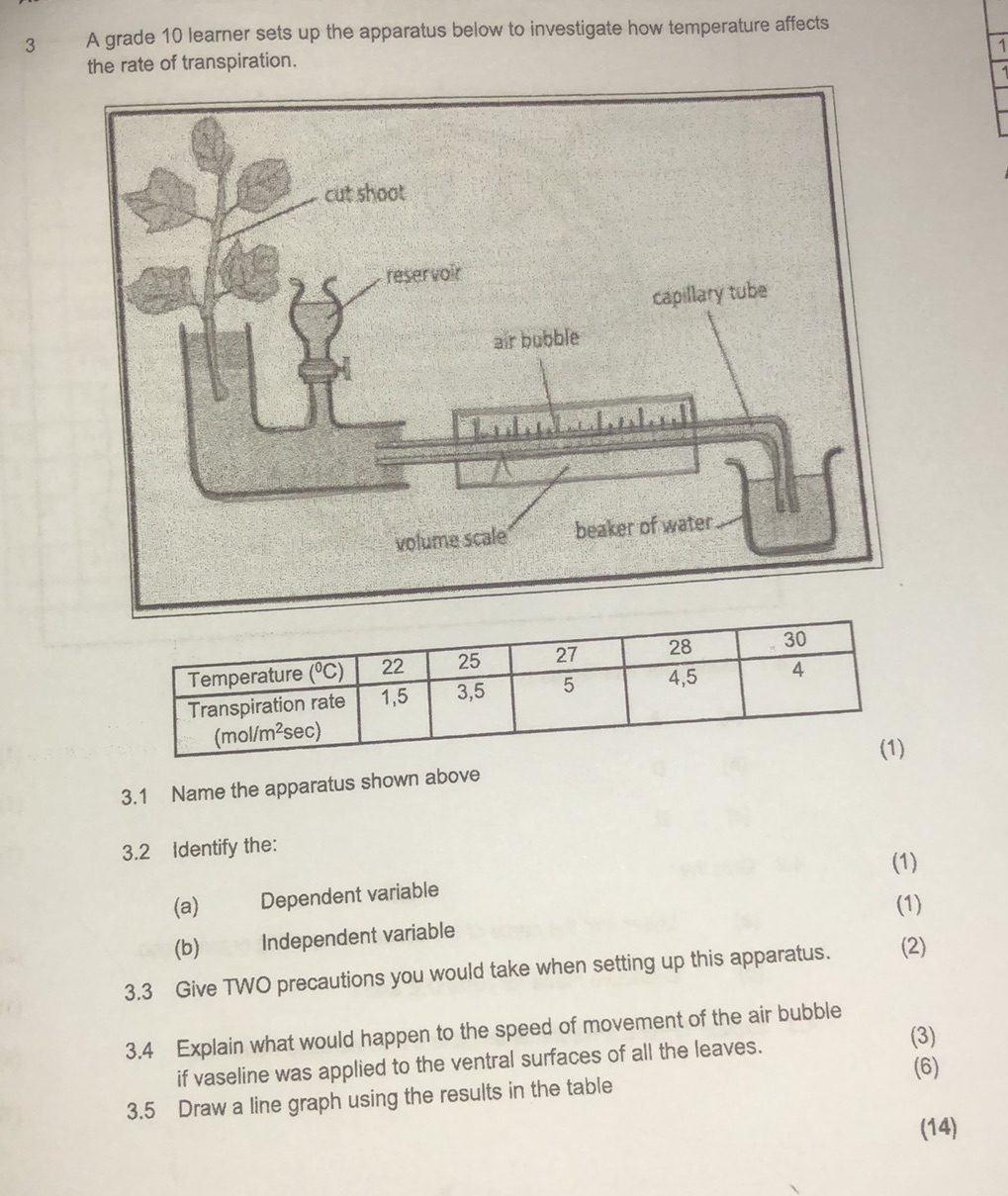 A grade 10 learner sets up the apparatus | StudyX