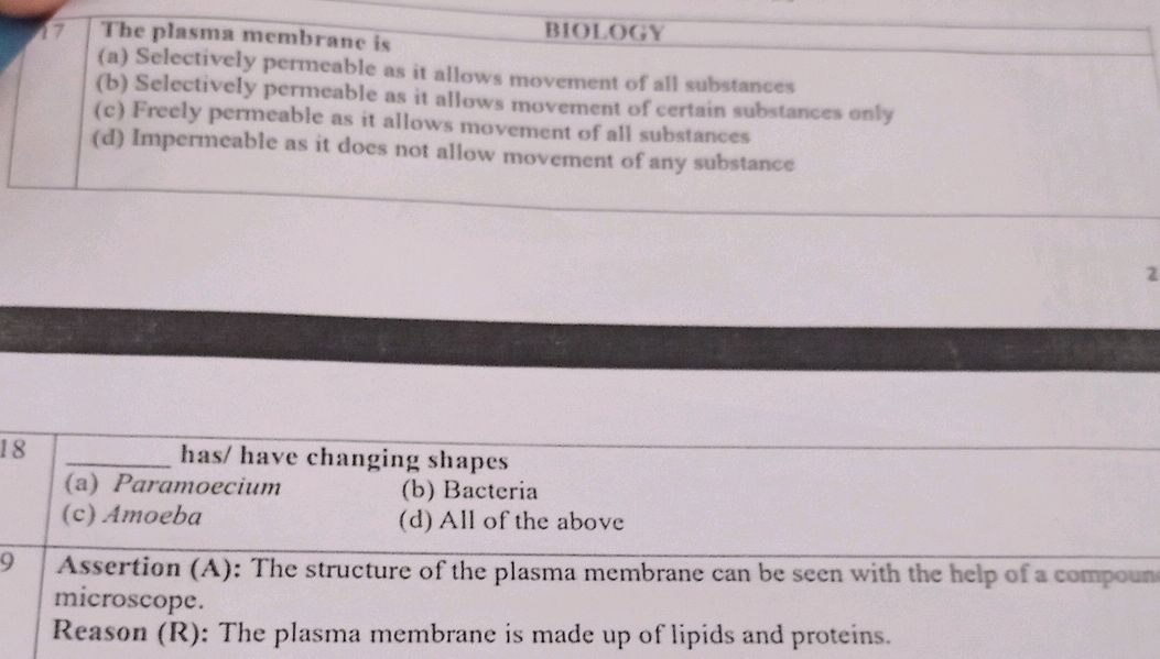 17 The plasma membrane is (a) Selectively | StudyX