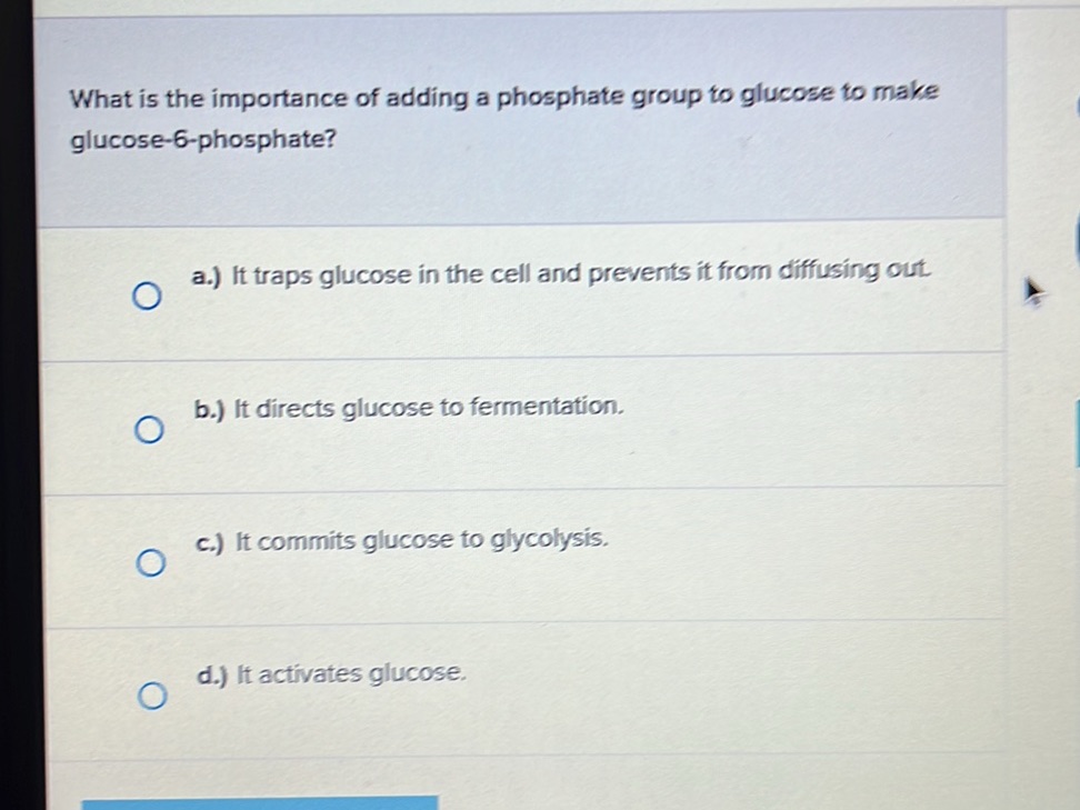 What is the importance of adding a phosphate | StudyX