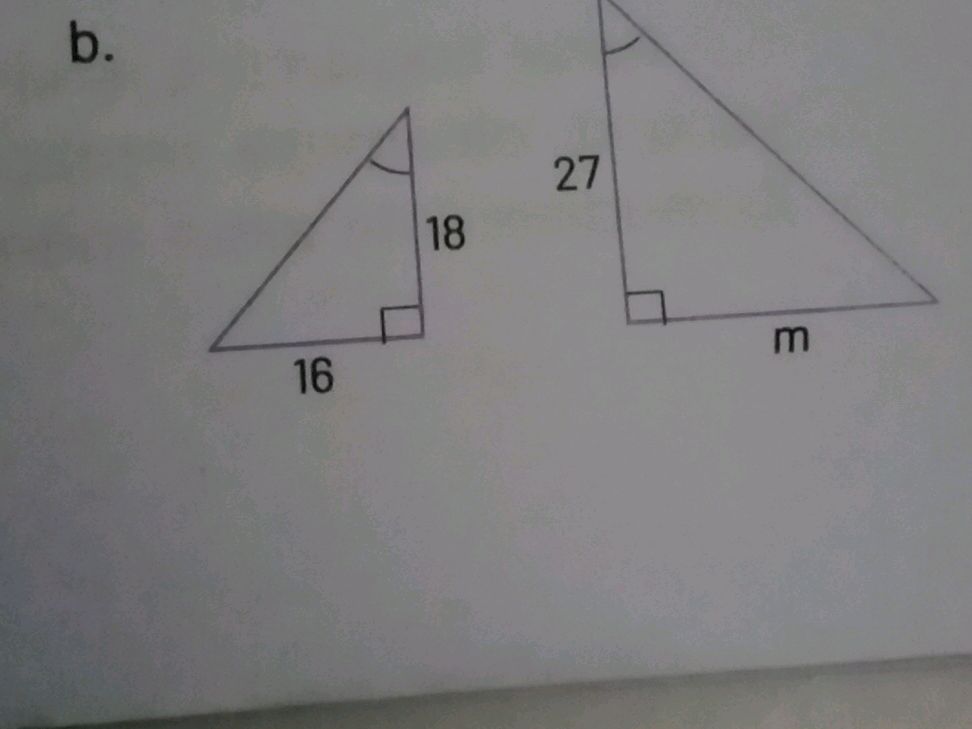 b. Two similar right triangles are shown. | StudyX