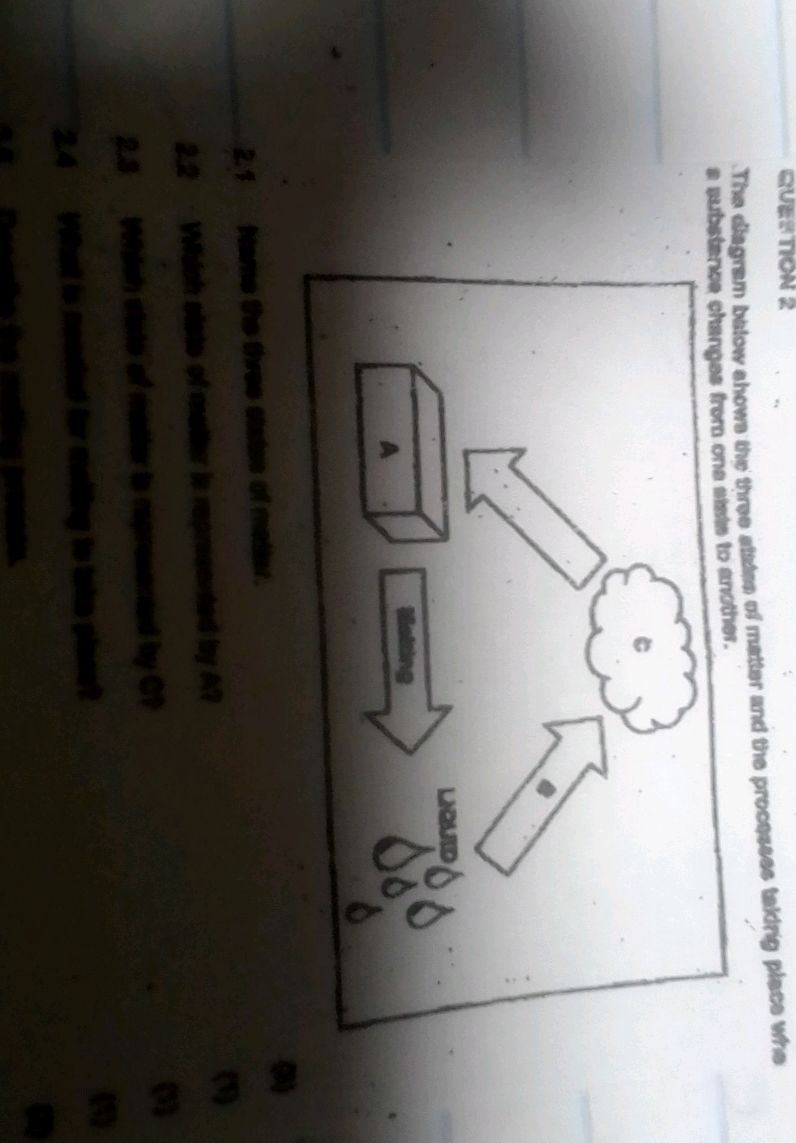 QUESTION 2 The diagram below shows the three | StudyX