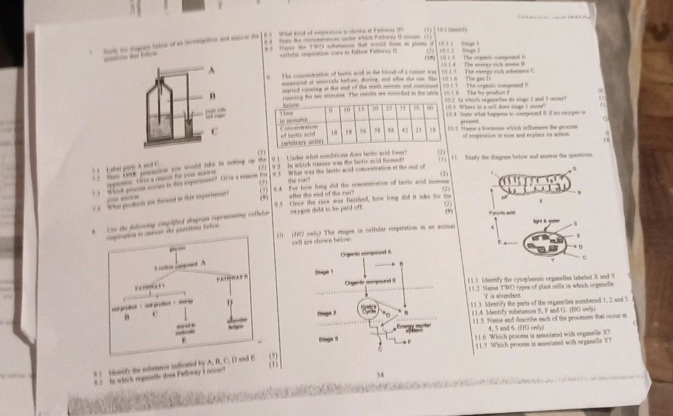 7. Study the diagram below and answer the | StudyX