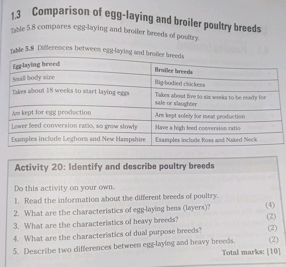 Photo inspiration: Fresh Look at Table 5 8 Differences Between Egg Laying And