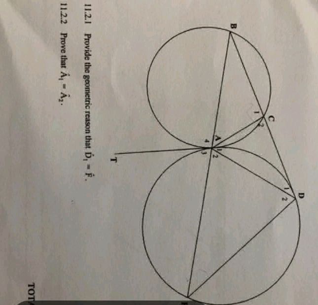 Geometry Requires 11.2.1 Provide the geometric reason that D₁ | StudyX