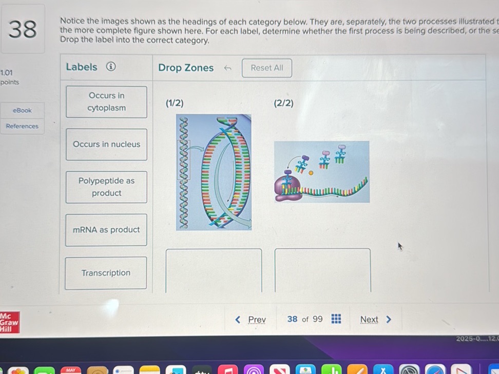 Notice the images shown as the headings of | StudyX