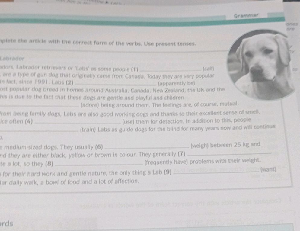 Complete Using Correct Article Complete the article with the correct form | StudyX