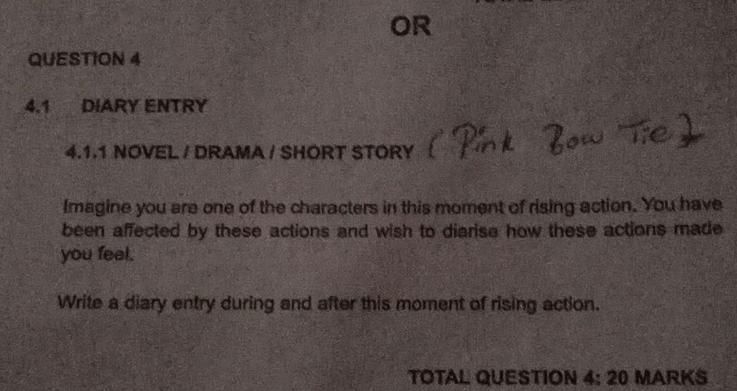 QUESTION 4 4.1 DIARY ENTRY 4.1.1 NOVEL