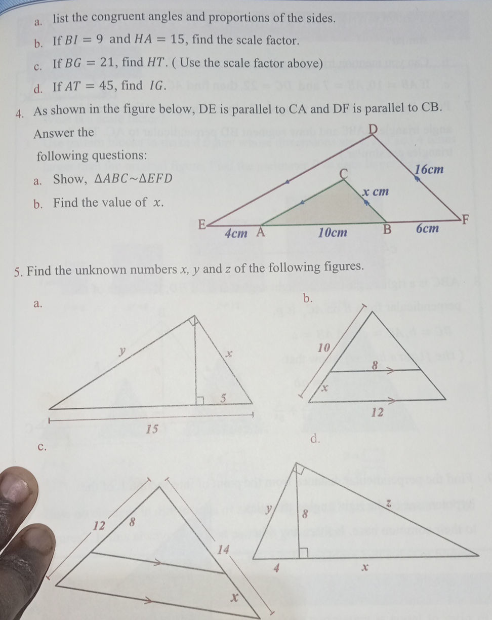 a. list the congruent angles and proportions | StudyX