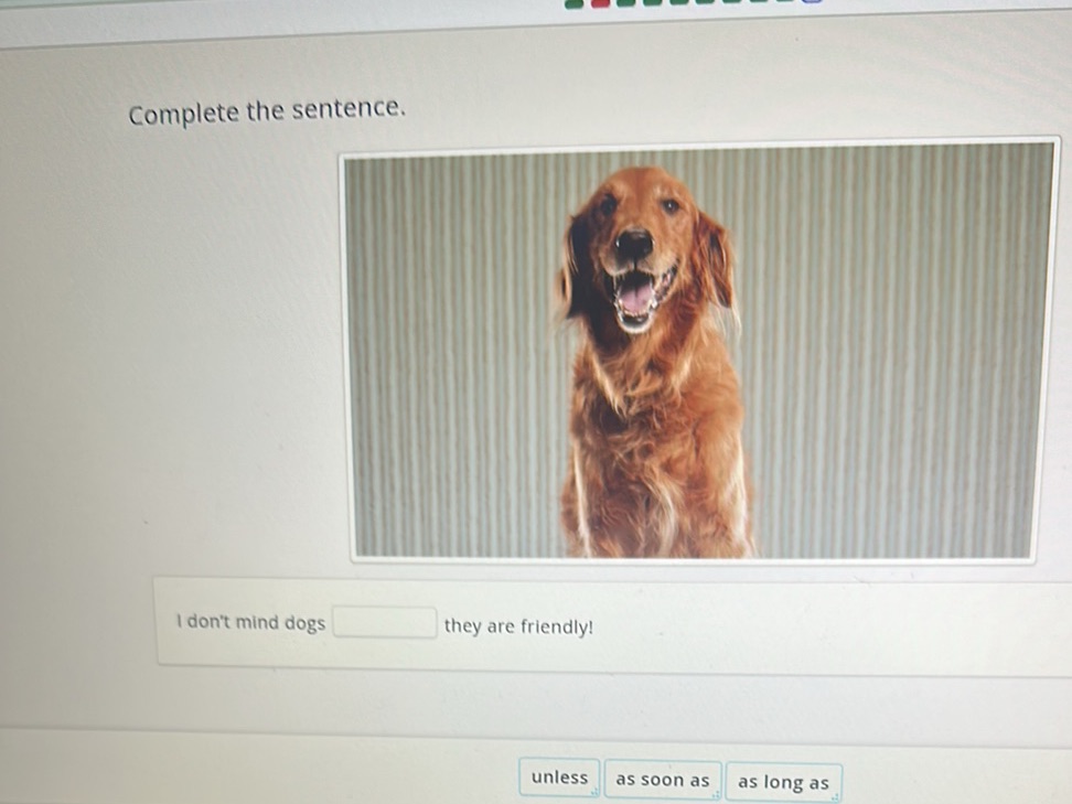 Complete the sentence. I don't mind dogs | StudyX