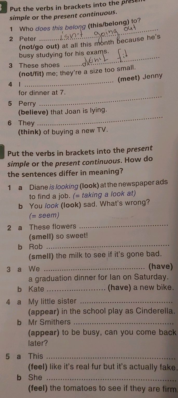 Put the verbs in brackets into the present | StudyX
