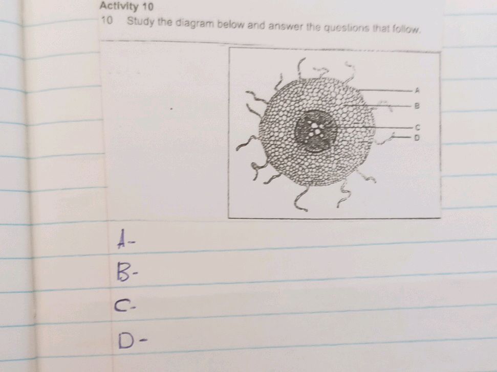 Activity 10 10 Study the diagram below and | StudyX