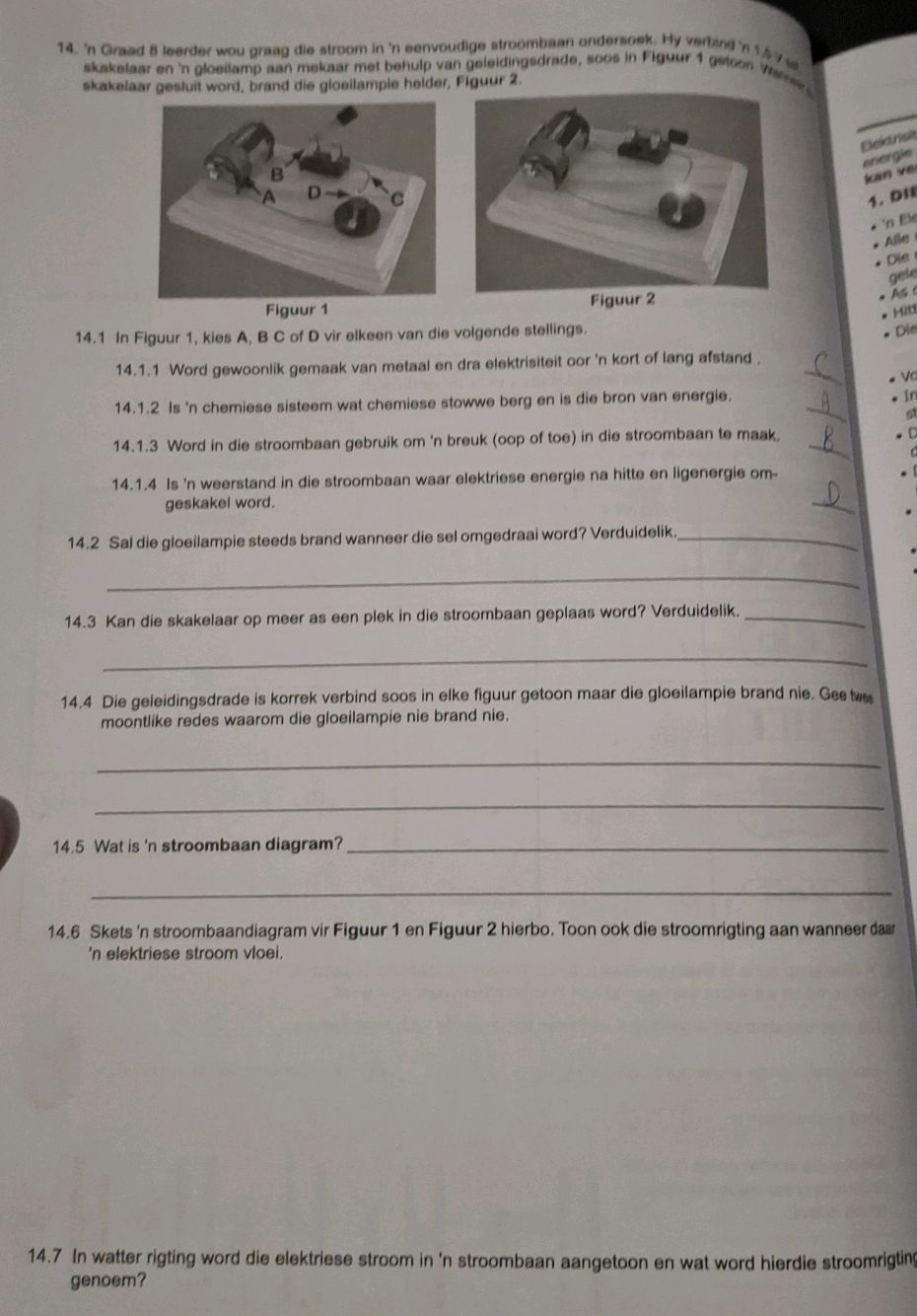 14. 'n Graad 8 leerder wou graag die stroom | StudyX