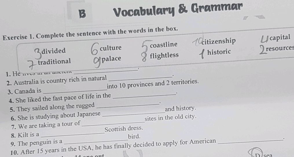 Exercise 1. Complete the sentence with the | StudyX