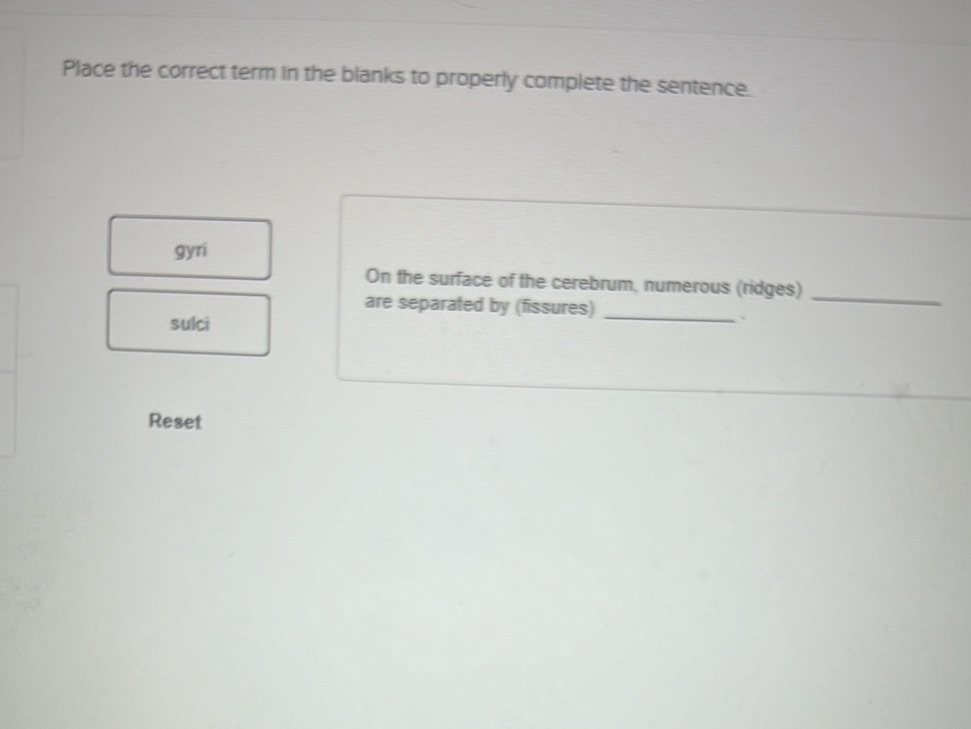 Place the correct term in the blanks to | StudyX