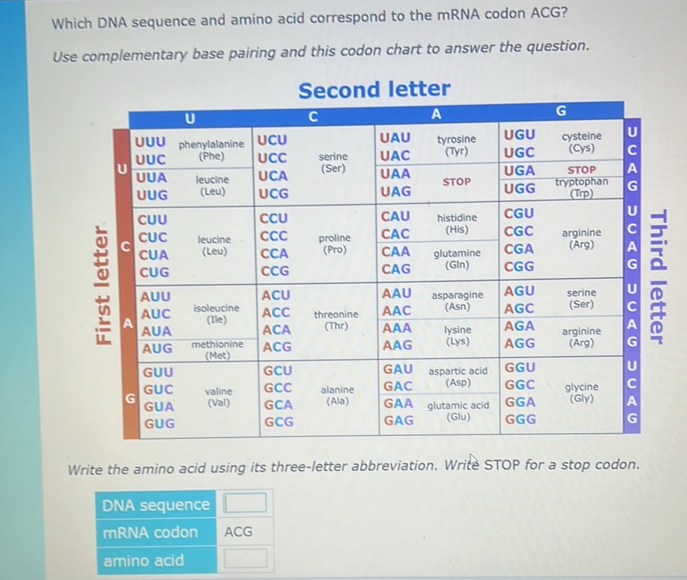 Which DNA sequence and amino acid correspond | StudyX