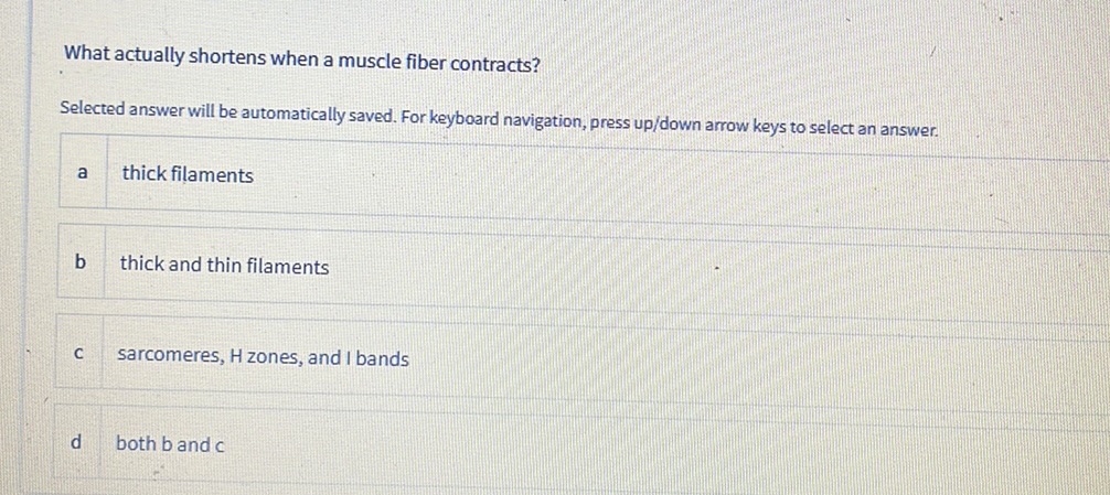 What actually shortens when a muscle fiber | StudyX