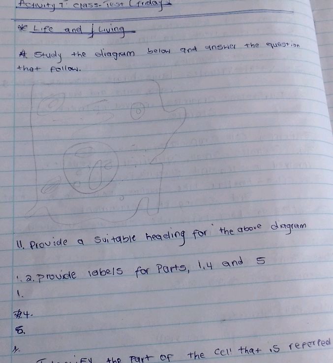 A. Study the diagram below and answer the | StudyX
