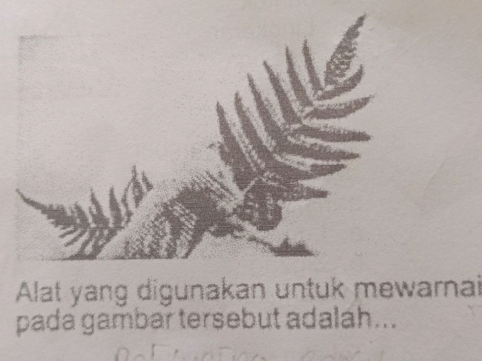 Alat yang digunakan untuk mewarnai pada | StudyX