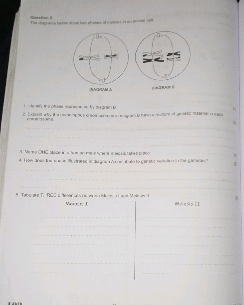 Question 2 The diagrams below show two | StudyX