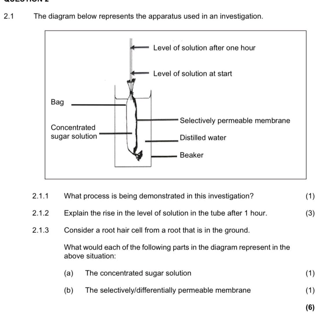 2.1 The diagram below represents the | StudyX