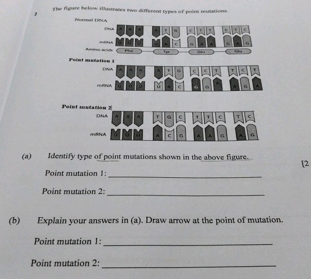 2 The figure below illustrates two different