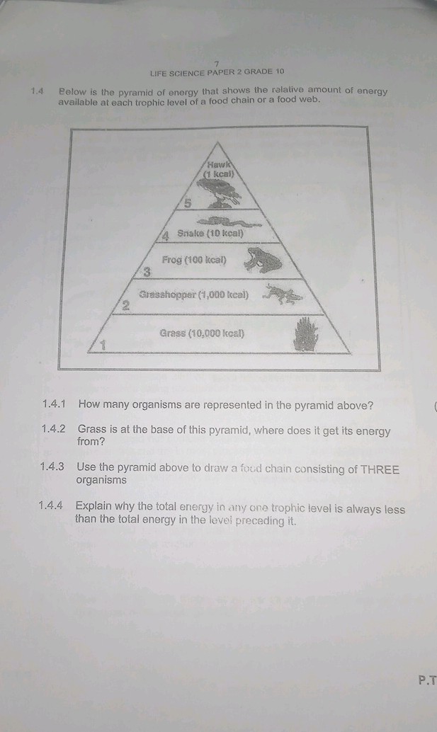 LIFE SCIENCE PAPER 2 GRADE 10 14 Below is | StudyX