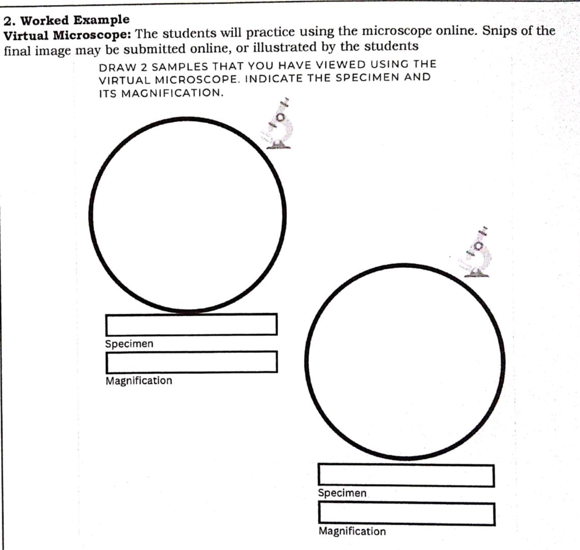 2 Worked Example Virtual Microscope The