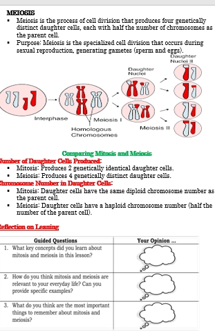 MEIOSIS - Meiosis is the process of cell | StudyX