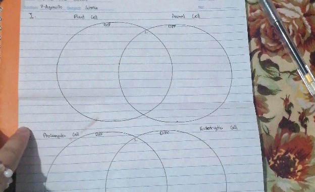 Support Circle S Worksheet.pdf I I P-A arowith Sirince NaEe trimal Uoli