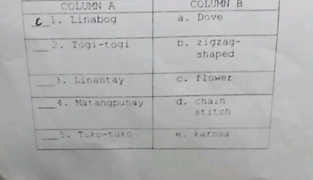 COLUMN A COLUMN B a Linabog a Dove 3 | StudyX